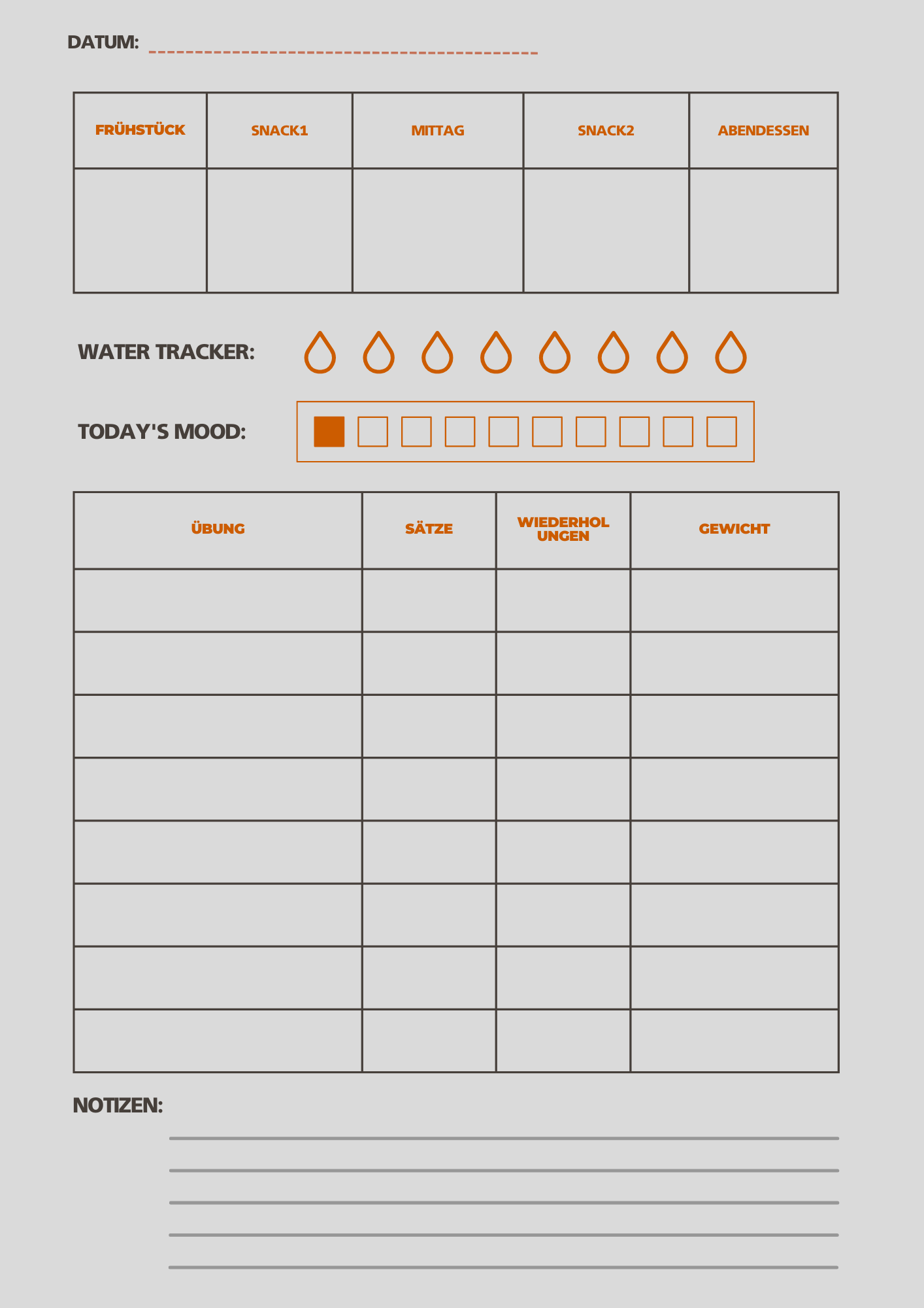 Meal & Training Journal (PDF) – 4 Wochen Fortschrittstracker